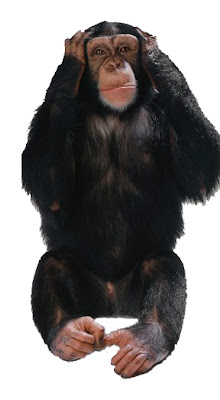 Taking Up The Challenge Four Wise Monkeys