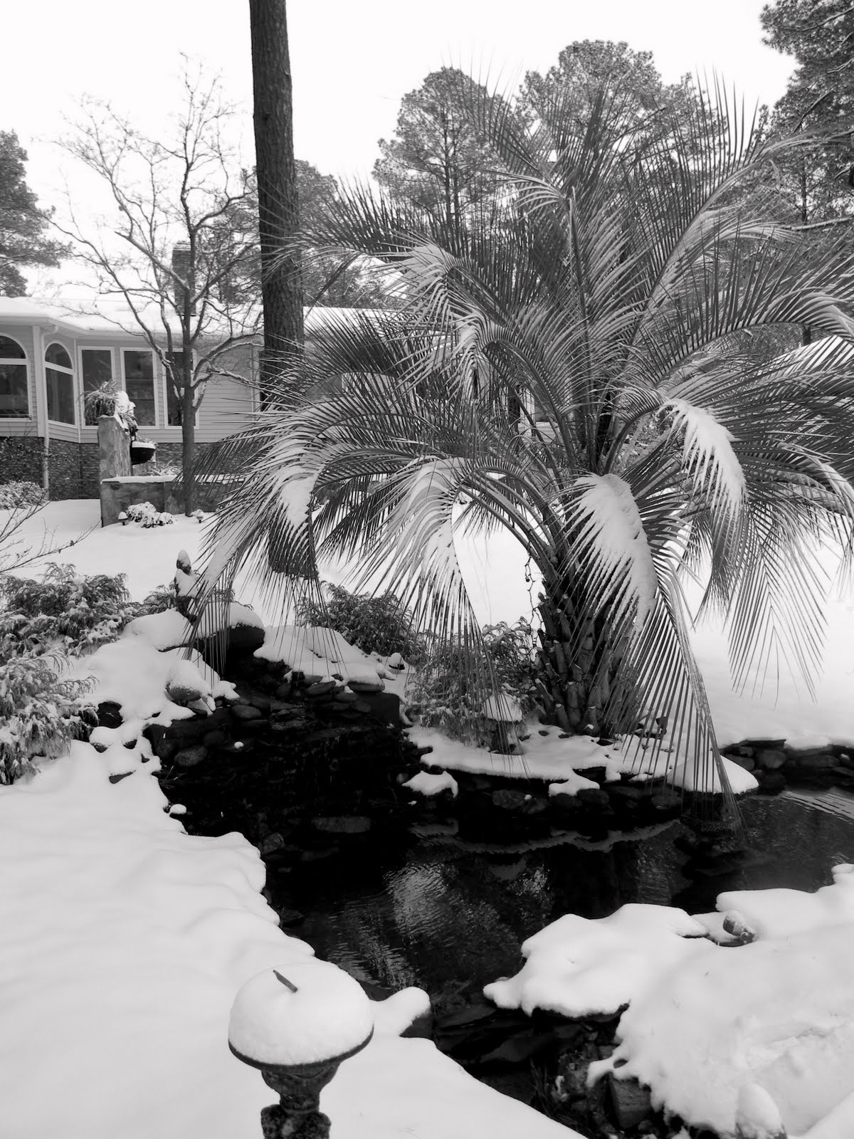 Clemson Girl Snow Day