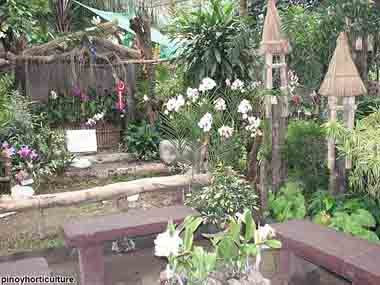 Exhibit Booth of Malvarosa Orchids