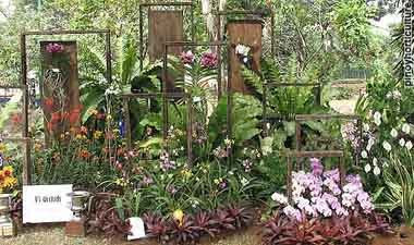 Exhibit Booth of VS Orchids