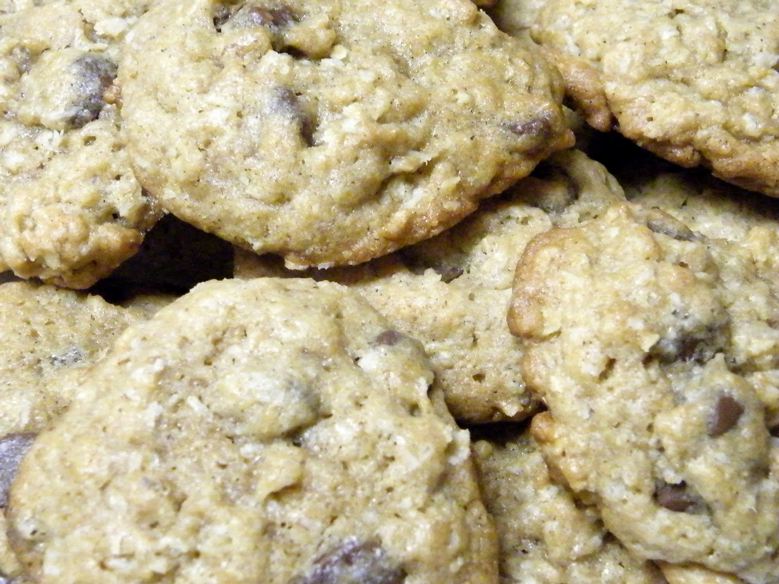 Vittles and Bits Milk Chocolate Chip Oatmeal Cookies