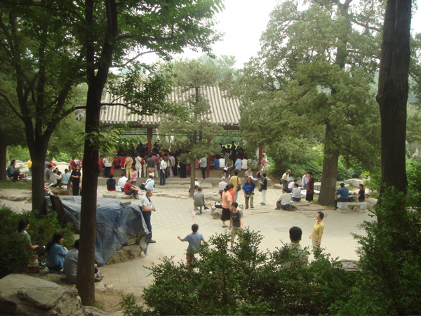 [Singing+in+the+Park.jpg]