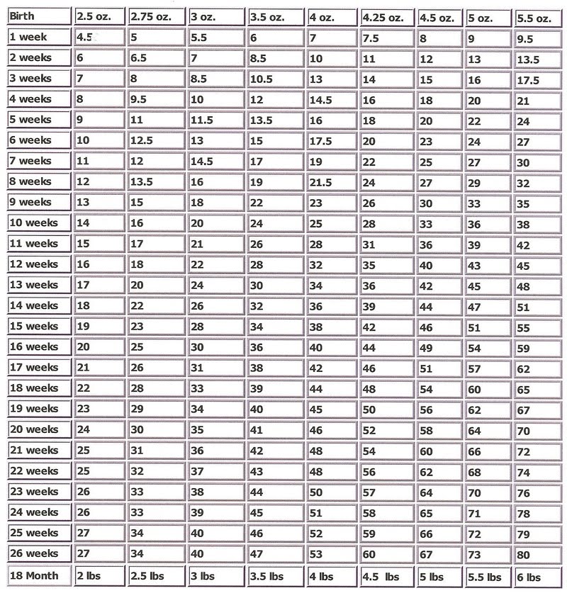 Yorkie Weight Chart In Kg