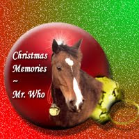Mr.Who