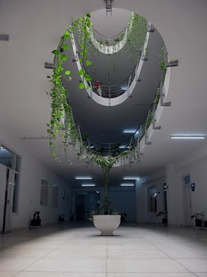 Gandhara Medical College