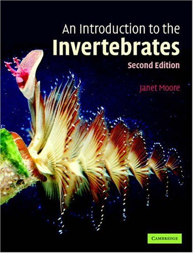 [Introduction+to+invertebrates.jpg]