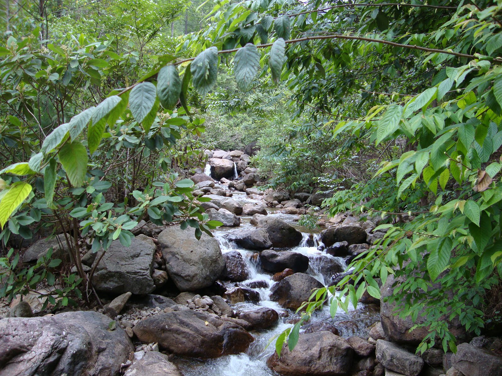 Access to water for basic