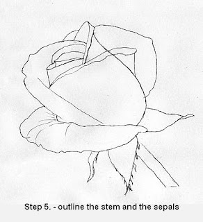 How to draw a rose in five steps-drawing lesson Step+5.+-+outline+the+stem+and+the+stepals