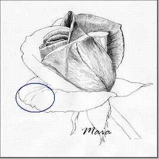 How to draw a rose in five steps-drawing lesson Using+cross+contur