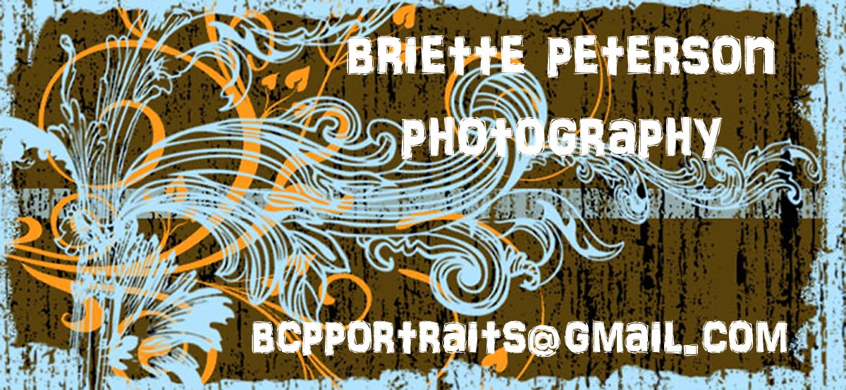 Briette Peterson Photography Pricing