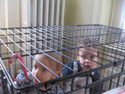 Caged Child