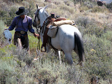 Sagebrush in High Desert, CA