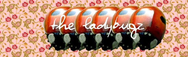 The Ladybugz