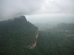 The view from above!