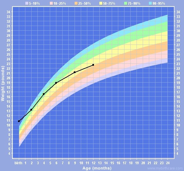 Medium Size Dog Growth Chart