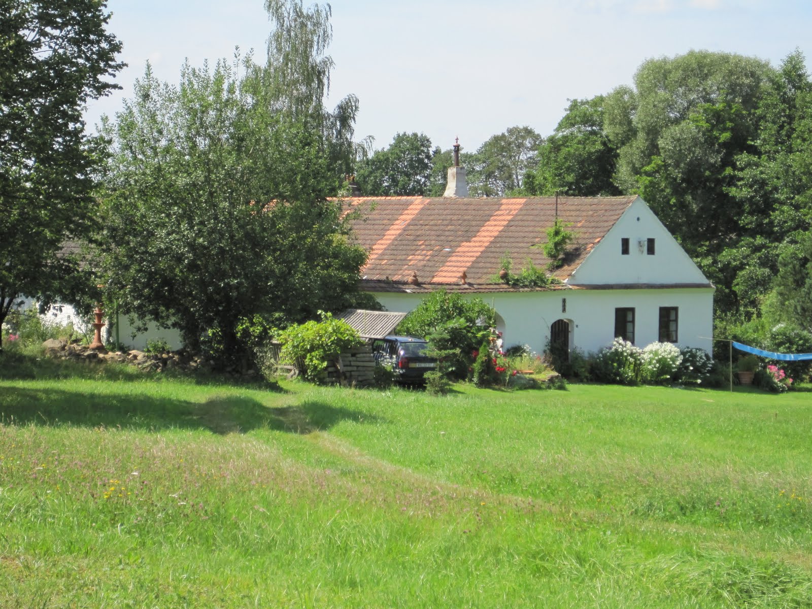[IMG_0449.JPG]