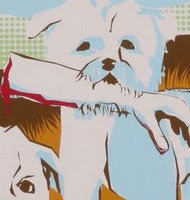 Todd Hoffman's Take on the Glen of Imaal Terrier