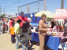 Gobierno en terreno...