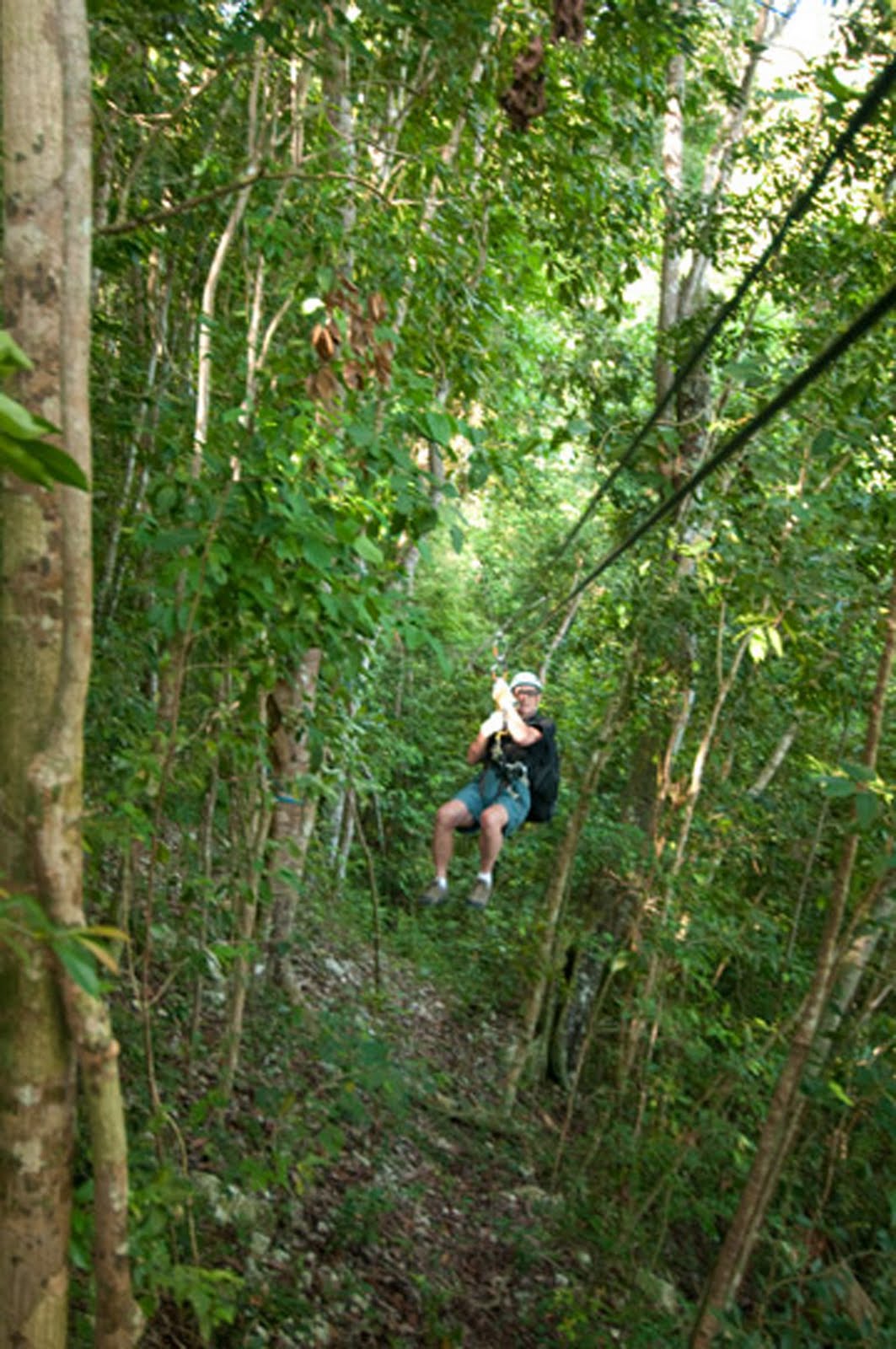 canopy tours jamaica
