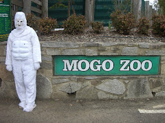 Zoo time
