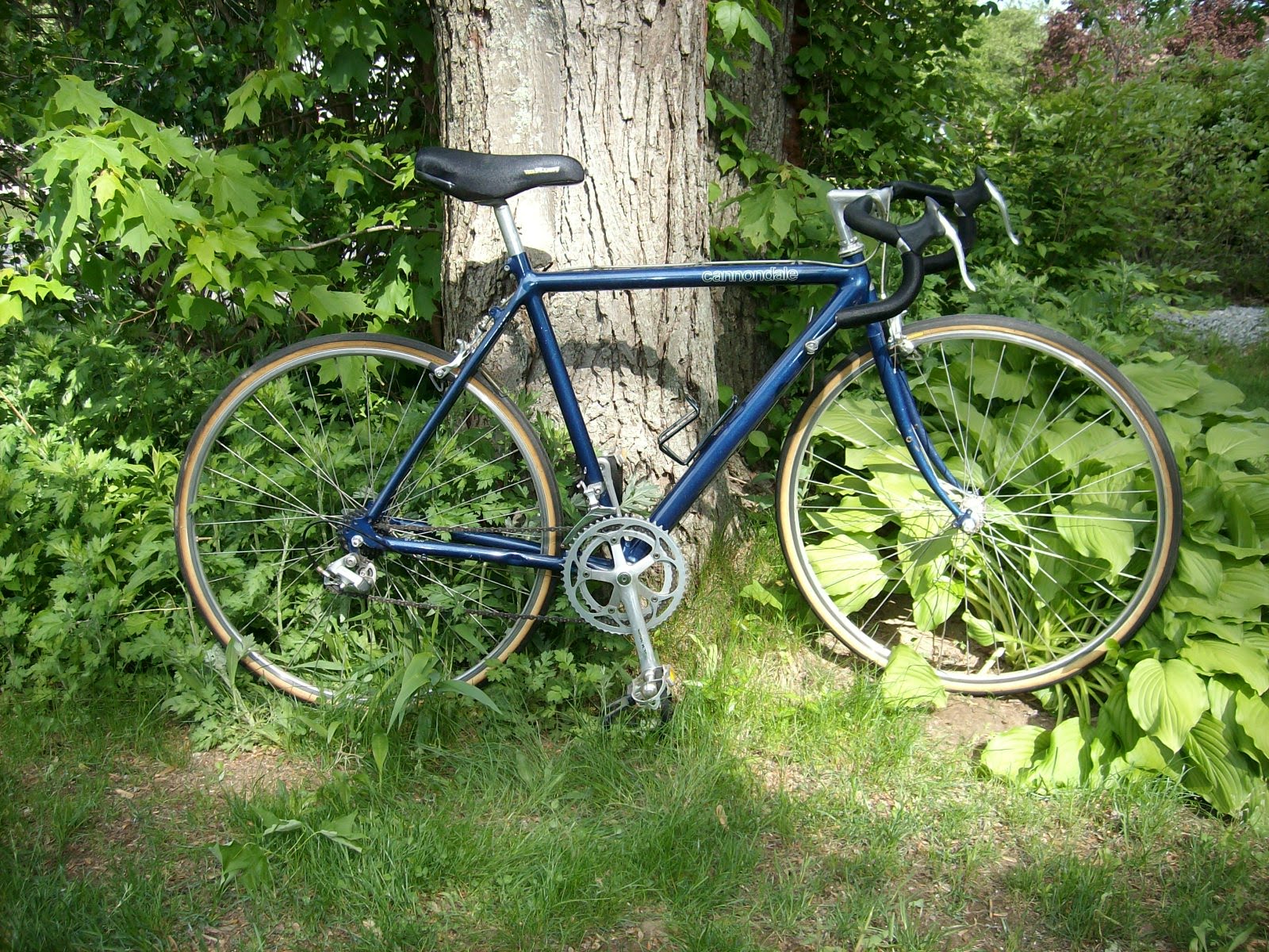 Bicycles Rule Cannondale ST500