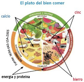 El Plato del "BIEN"  comer, de tarevista de UNAM  "COMOVES" . E redes locales : ir a www.nutrired.