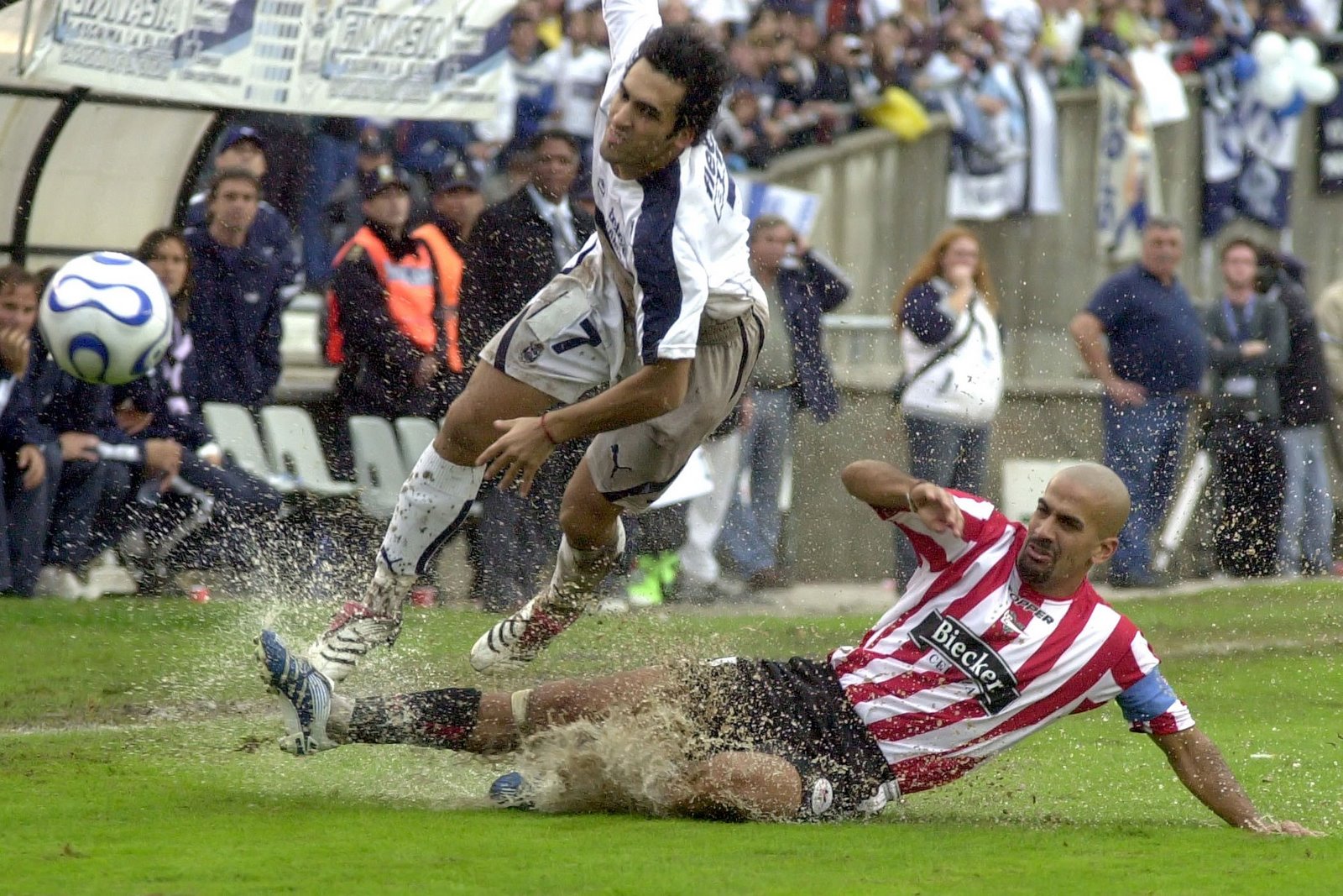 Veron33%255B1%255D.jpg