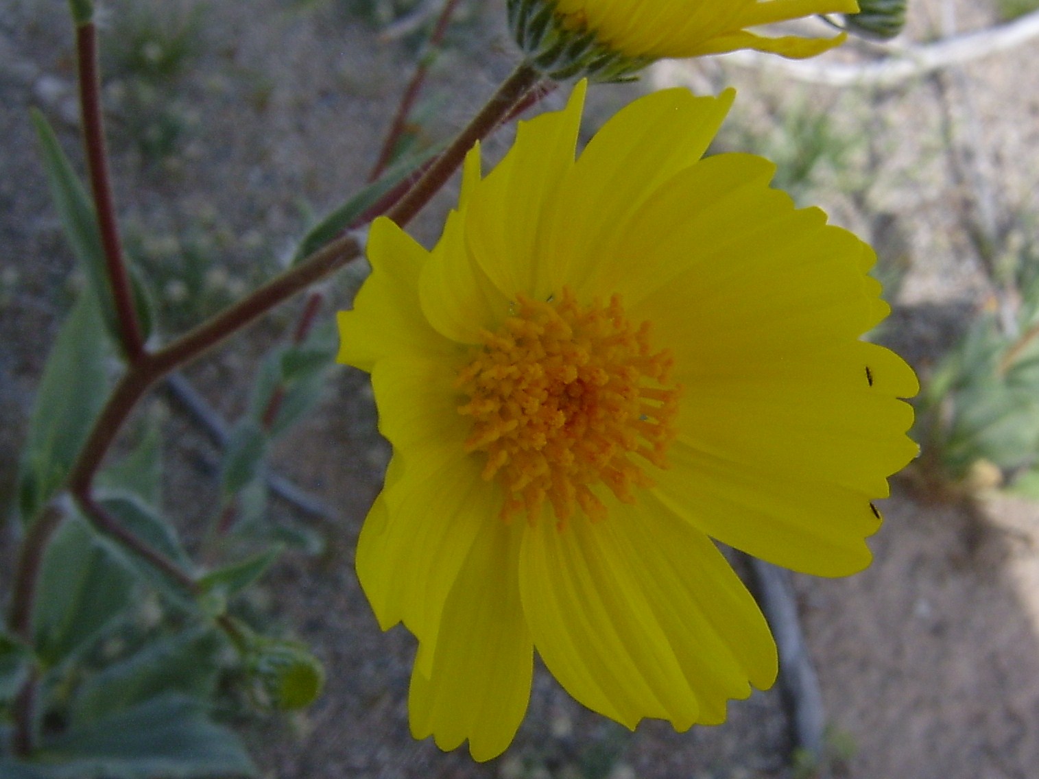 [S4200028.JPG]