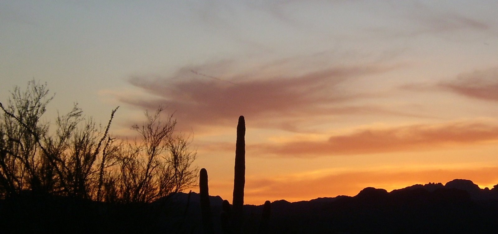 [cactus+ranch+06.JPG]