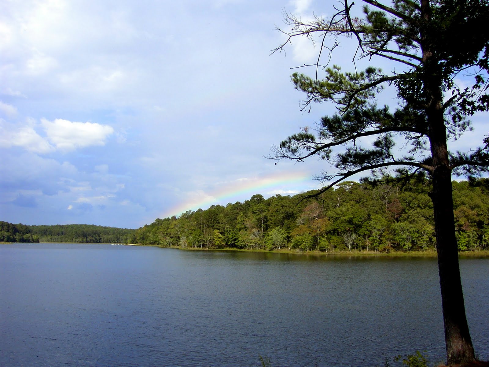 [rainbow-1.JPG]
