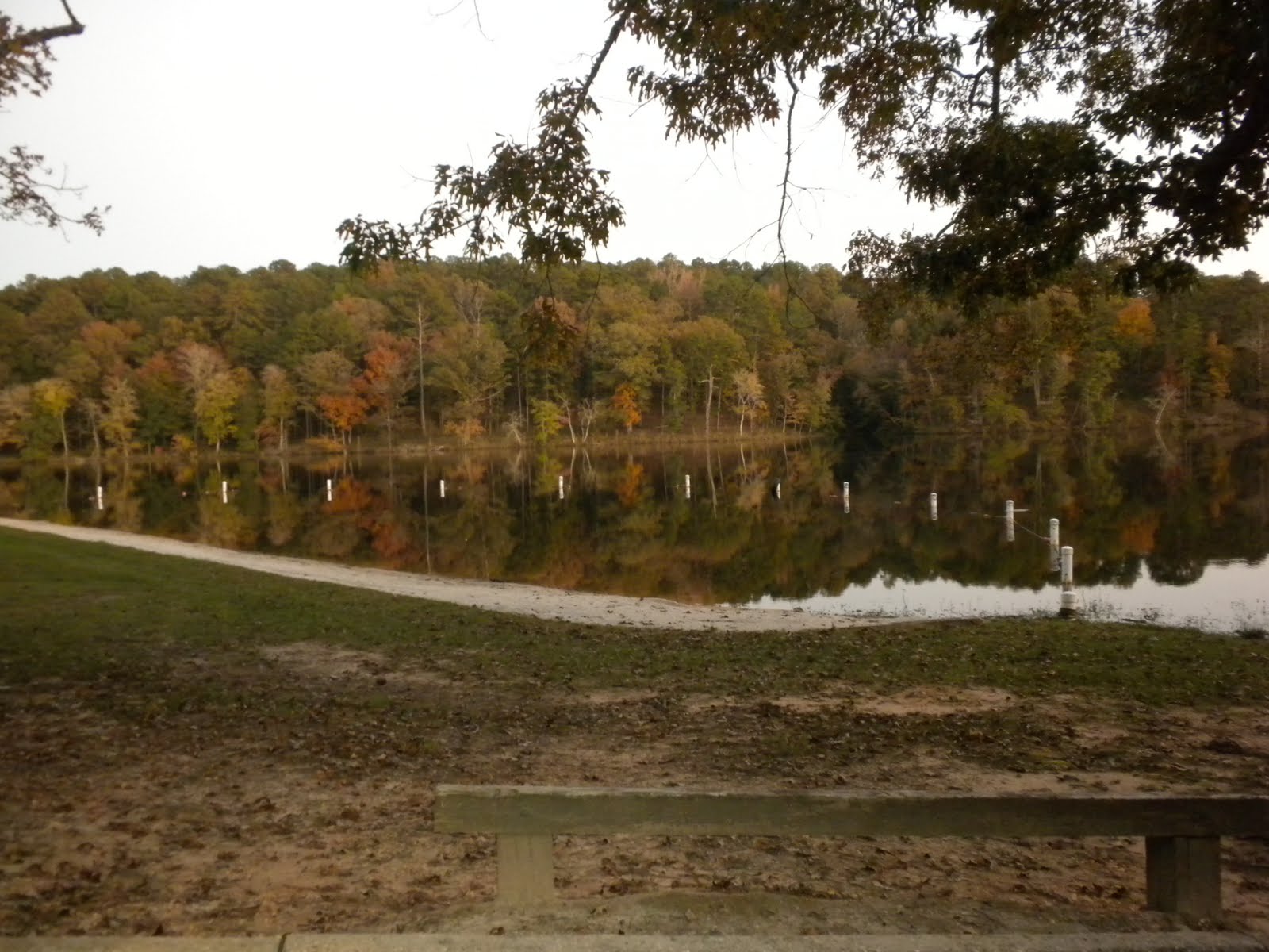 [DSCN0087.JPG]