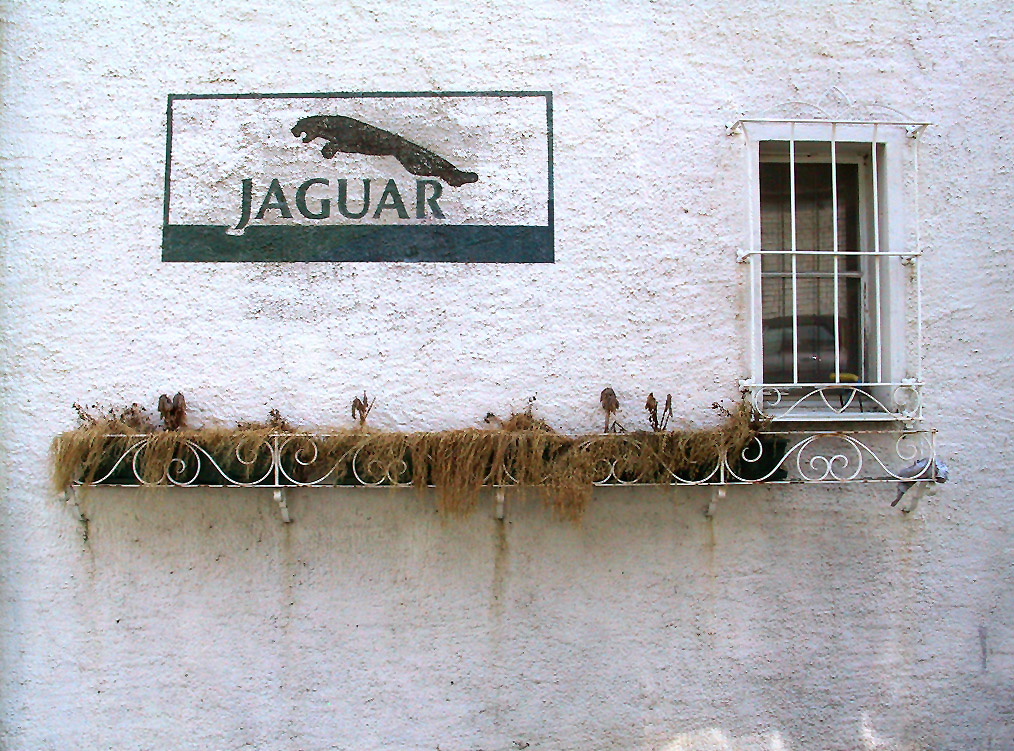 jaguar logo history