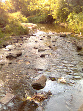 The Crick