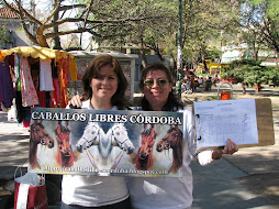 Nueva Jornada por los Caballos