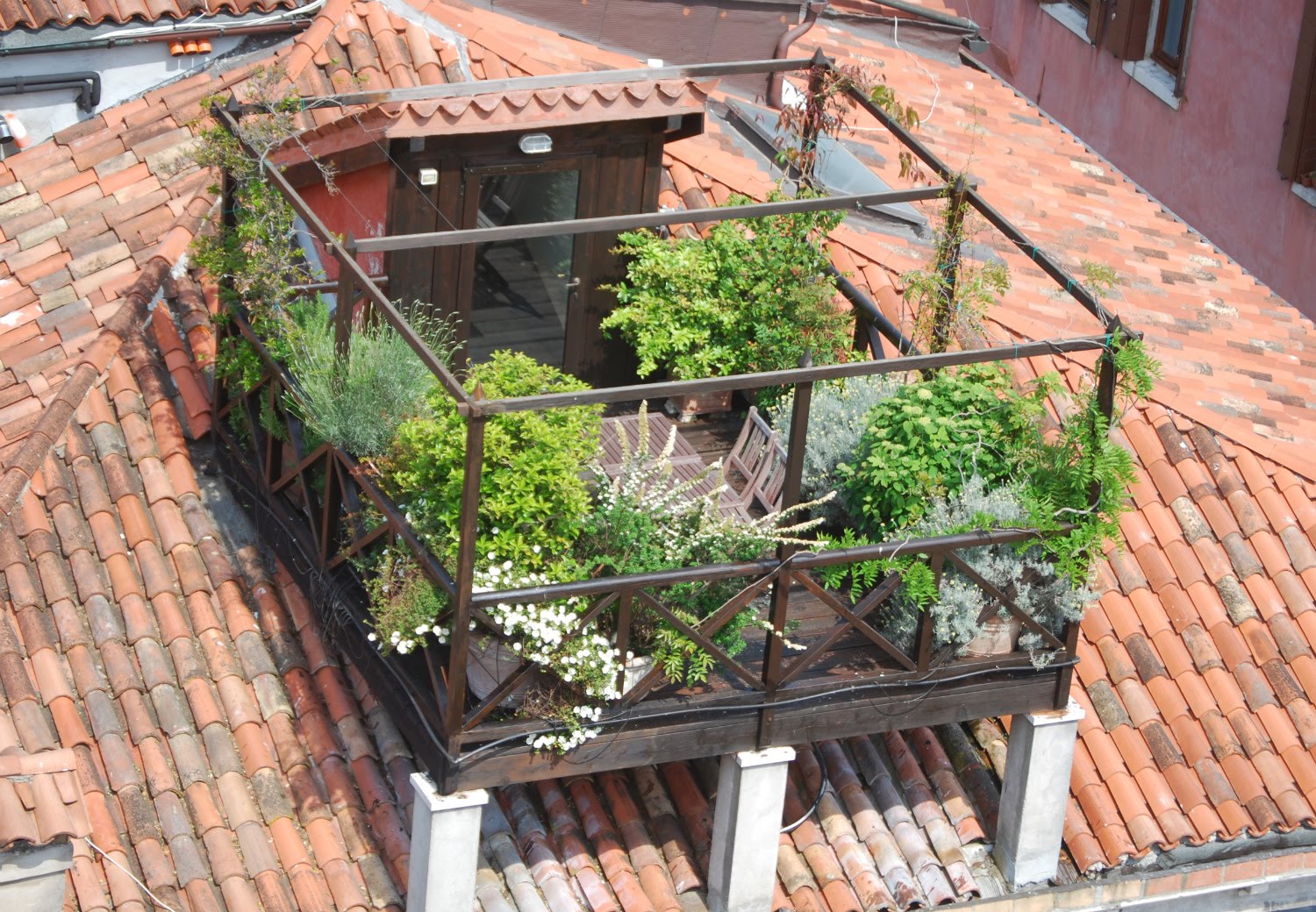 Altana piante.jpg Altana venezia