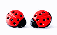 ficklets ladybug