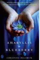 amaryllis in blueberry cover