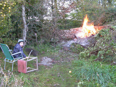 bonfire viewer. Monitoring progress of fire