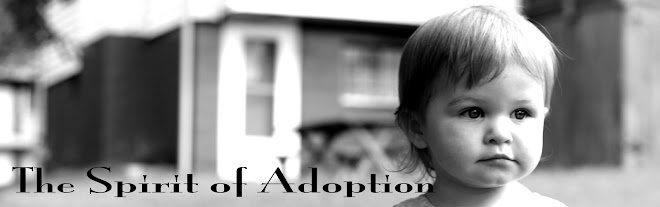 The Spirit of Adoption