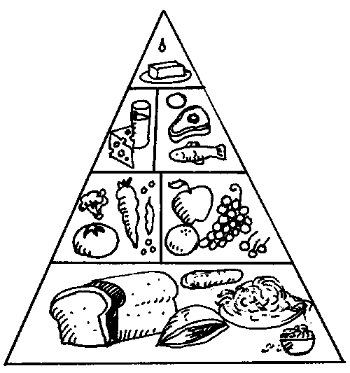 Healthy+eating+pyramid+australia+kids