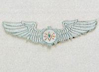 Avionics and Maintainance Officer Badge