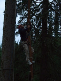 Climbing the Pole