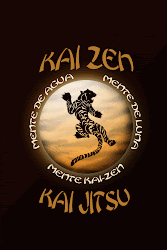 KAI-ZEN <> KAI-JUTSU