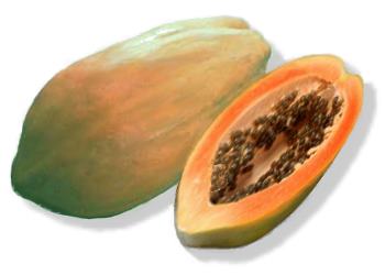 [papaya.jpg]