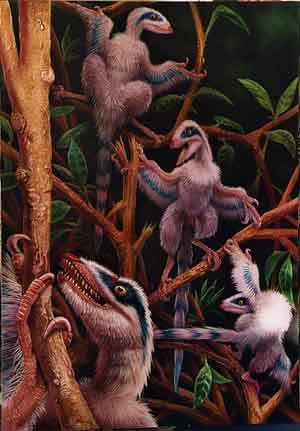 [microraptor2.jpg]