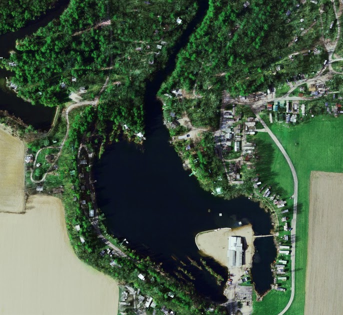 Always Swimming Upstream Smells and Memory