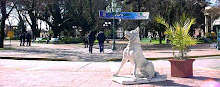 PLAZA DE ARMAS