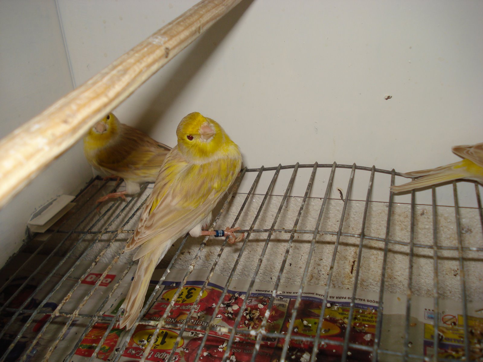 [DSC01263.JPG]