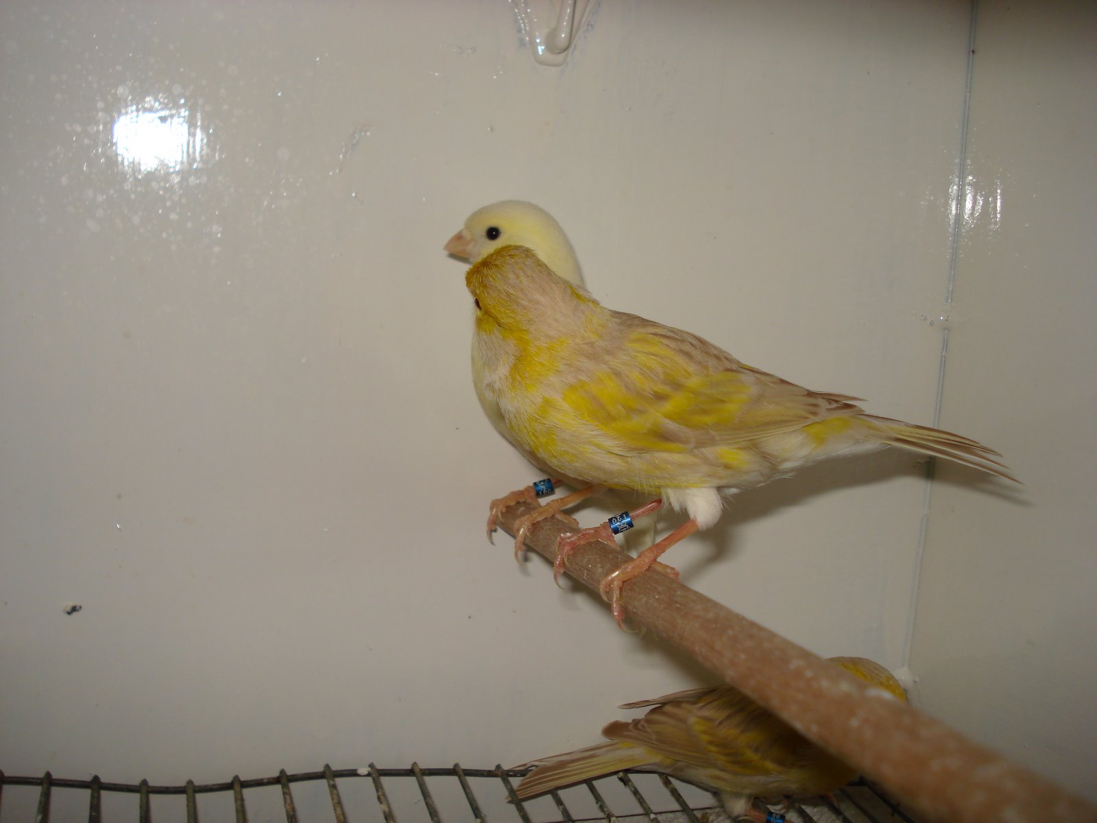[DSC01265.JPG]
