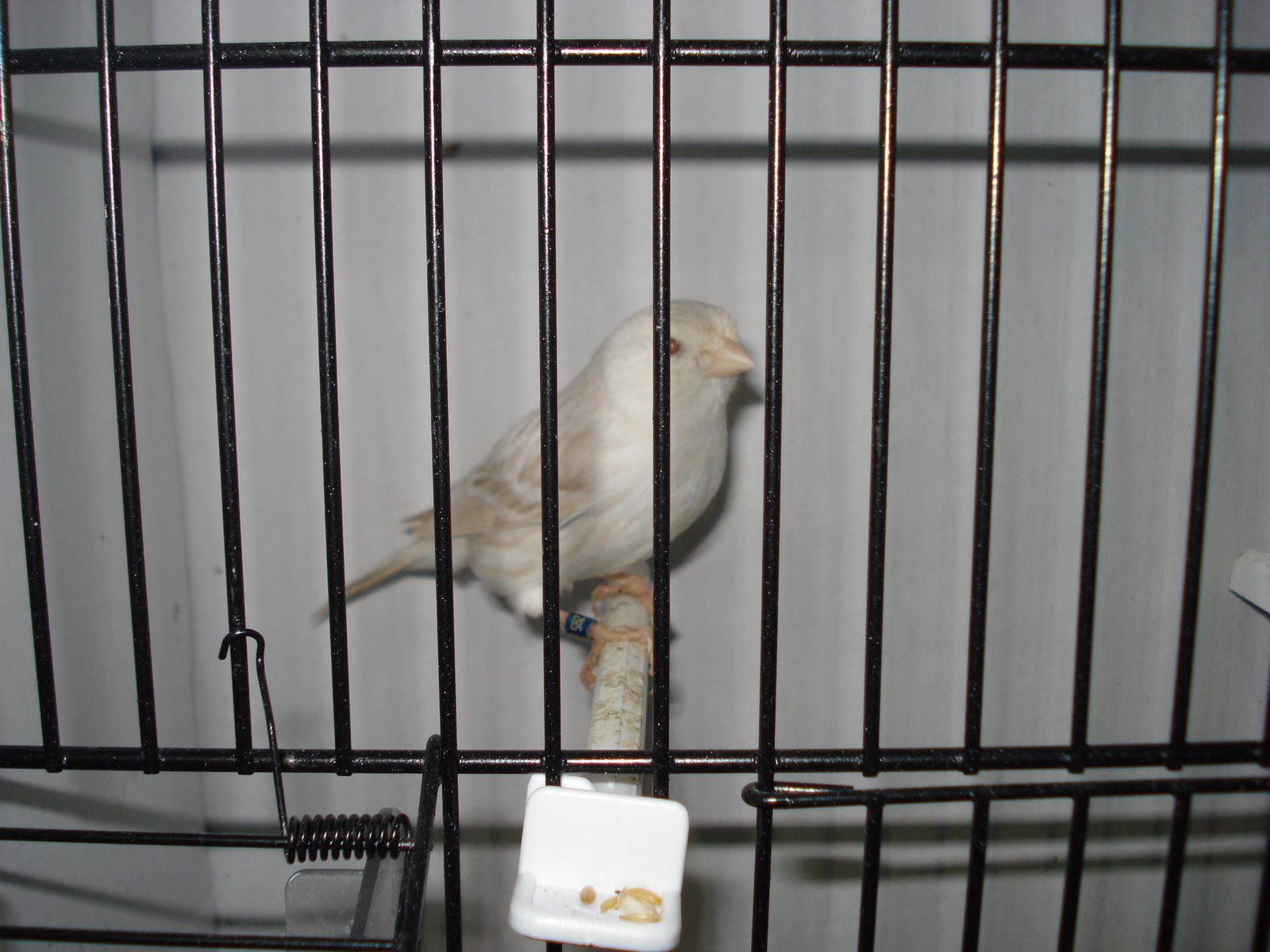 [DSC01430.JPG]